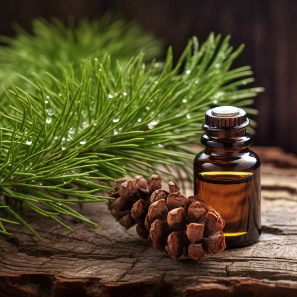 Cedarwood Essential Oil