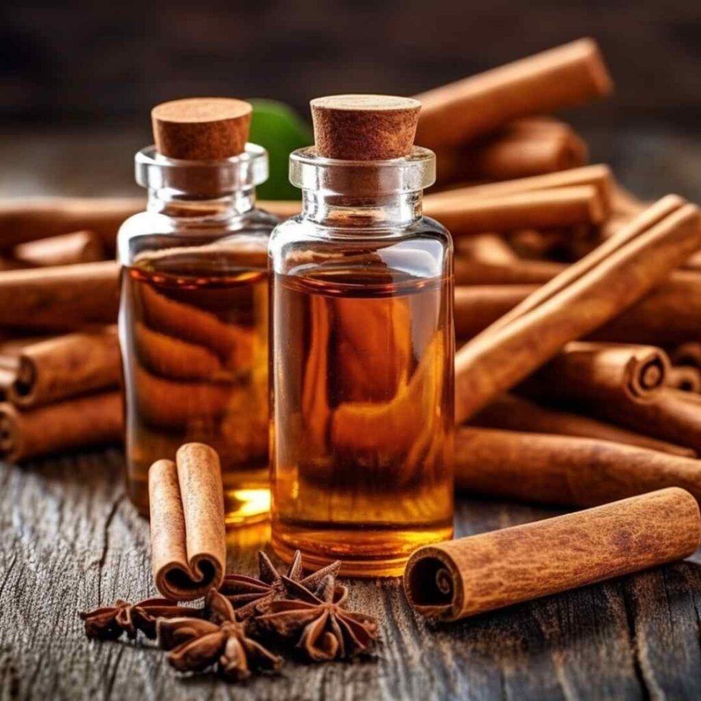 Cinnamon Bark Essential Oil