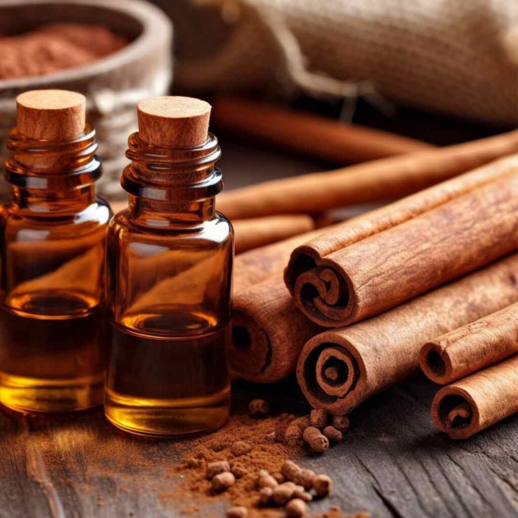 Cinnamon Bark Essential Oil