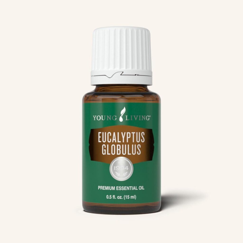 6+ Essential Oils for Fever 2 Eucalyptus Globulus Essential Oil