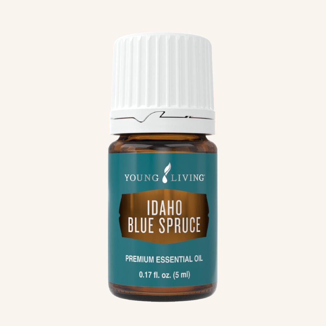 Idaho Blue Spruce Essential Oil