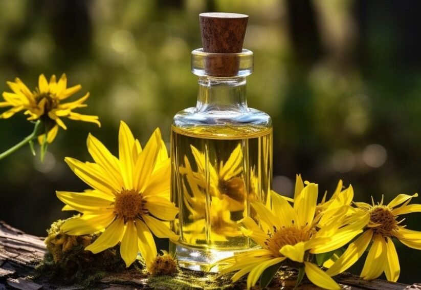 Guide to Choosing the Best Carrier Oil for Essential Oils in 2024 7 Arnica-Oil