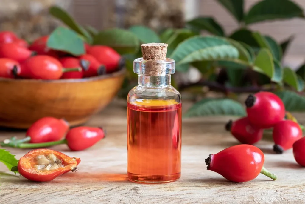 Guide to Choosing the Best Carrier Oil for Essential Oils in 2024 8 Rosehip Oil 2025